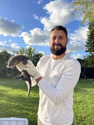 We Handle The Animals So You Don’t Have to - Quick and Clean Animal Trapping and Rescue Solutions for our South Florida Community We Handle The Animals So You Don’t Have to - Quick and Clean Animal Trapping and Rescue Solutions for our South Florida Community