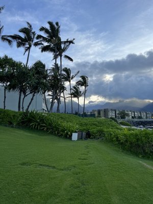 Maui Beach Hotel by null