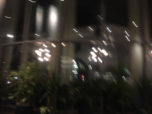 The Madrigal by null