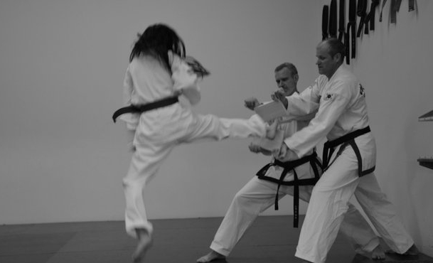 Kim's Taekwon-DO School Logo