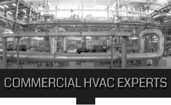 Slide of The Severn Group