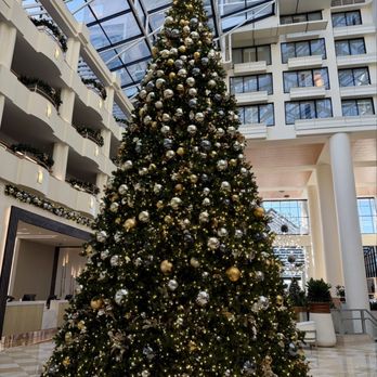 Orlando World Center Marriott - Beautiful tree decorated for the holidays - Hotels Near Me - Orlando, Florida Orlando World Center Marriott - Beautiful tree decorated for the holidays - Hotels Near Me - Orlando, Florida