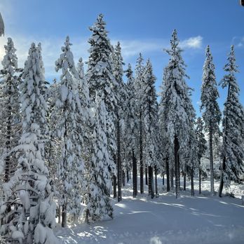 Monaco Nail Spa - Incline weather. Recommend a pedicure when snowing. Found a great place! - Nail Salons Near Me - Incline Village, Nevada Monaco Nail Spa - Incline weather. Recommend a pedicure when snowing. Found a great place! - Nail Salons Near Me - Incline Village, Nevada