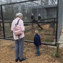 Delta Rivers Nature Center - Eagles