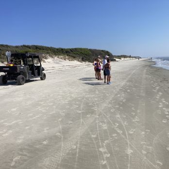 South Dunes Picnic Area - Sea Turtle Hatchling Release - Beaches Near Me - Jekyll Island, Georgia South Dunes Picnic Area - Sea Turtle Hatchling Release - Beaches Near Me - Jekyll Island, Georgia