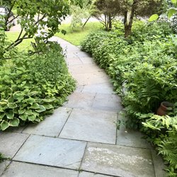Black Squirrel Antiques - Your Path: (To Prkng Lot)