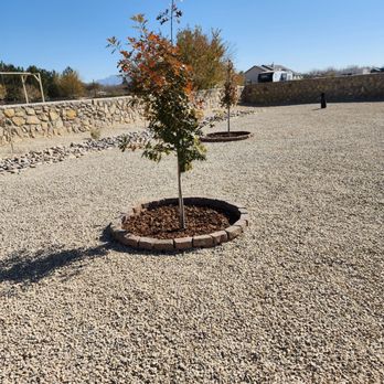 All Turf - Artificial Turf Near Me All Turf - Artificial Turf Near Me