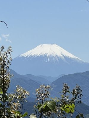 Mount Takao by null