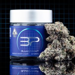 Craft - Blueprint premium indoor flower