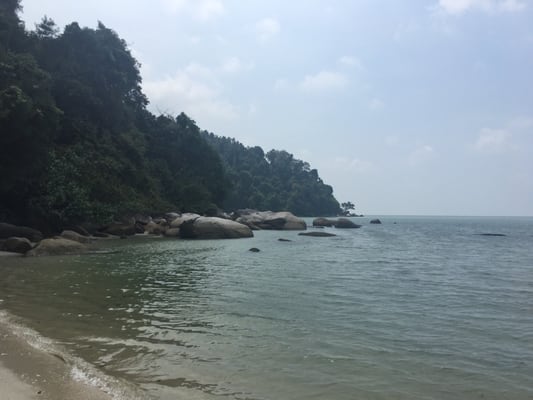 Penang National Park by null