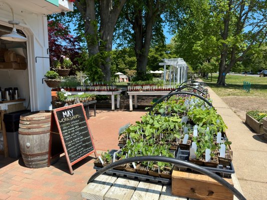 Amber Waves Farm, Market & Cafe by null