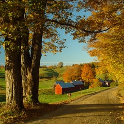 A&B Insurance Group, LLC - Support local agriculture