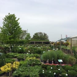 Green Glen Nursery