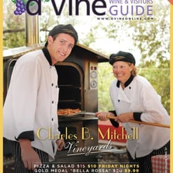 Charles B Mitchell Vineyards - Pizza Oven