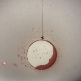 What's this on my cup? Mold or dead bug What's this on my cup? Mold or dead bug