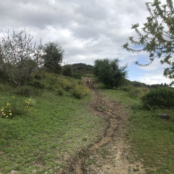 Topanga State Park - Trails and Path - Parks Near Me - Topanga, California Topanga State Park - Trails and Path - Parks Near Me - Topanga, California