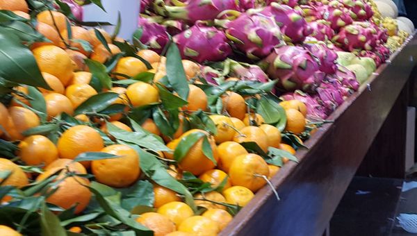 Chang Jiang Supermarket by null