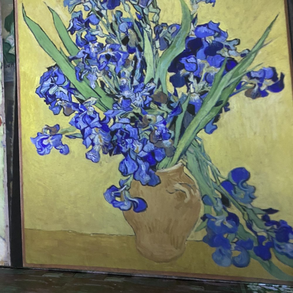 Beyond Van Gogh - Van Gogh Immersion Exhibition - Art Museums Near Me - Del Mar, California Beyond Van Gogh - Van Gogh Immersion Exhibition - Art Museums Near Me - Del Mar, California