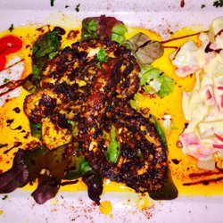 Massimo - Outstanding Octopus