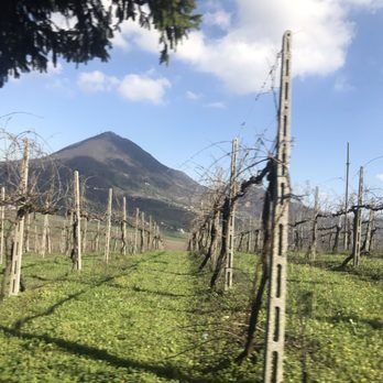 La Dolce Vigna - Wine Tasting Room Near Me - Veggiano, PD La Dolce Vigna - Wine Tasting Room Near Me - Veggiano, PD