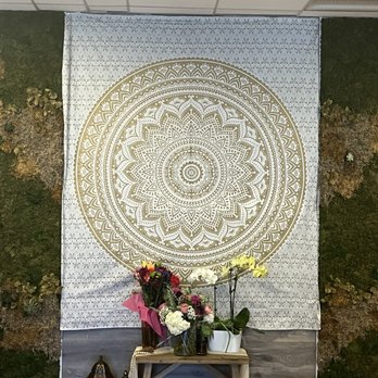 Oasis Wellness Collective - Yoga Near Me - San Jose, California Oasis Wellness Collective - Yoga Near Me - San Jose, California