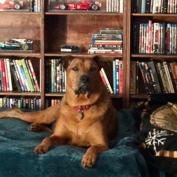 TrueCare for pets - Veterinarians Near Me - Studio City, California TrueCare for pets - Veterinarians Near Me - Studio City, California