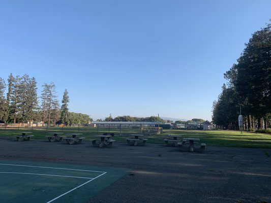 Steve Carli Park by null