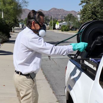 Morton Pest Control - Pest Control Near Me Morton Pest Control - Pest Control Near Me