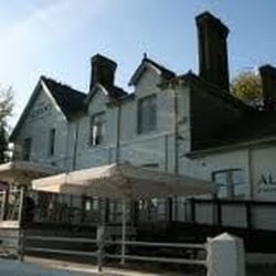 The Albany