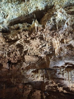 Natural Bridge Caverns by null