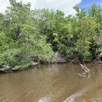 Flamingo Adventures - 07.19.19 - Boating Near Me - Homestead, Florida Flamingo Adventures - 07.19.19 - Boating Near Me - Homestead, Florida