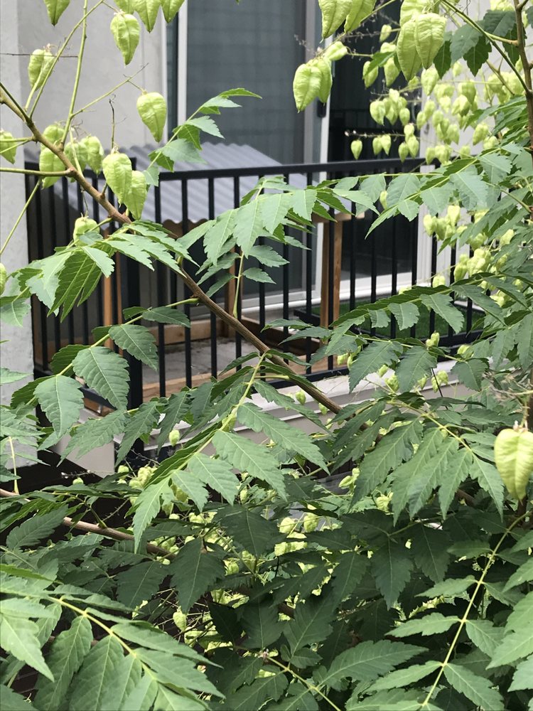 BRIXTON Updated August 2024 25 Photos 660 E Wilmington Ave, Salt