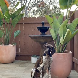 White washed terra cotta pots