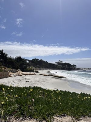 Carmel-By-The-Sea by null
