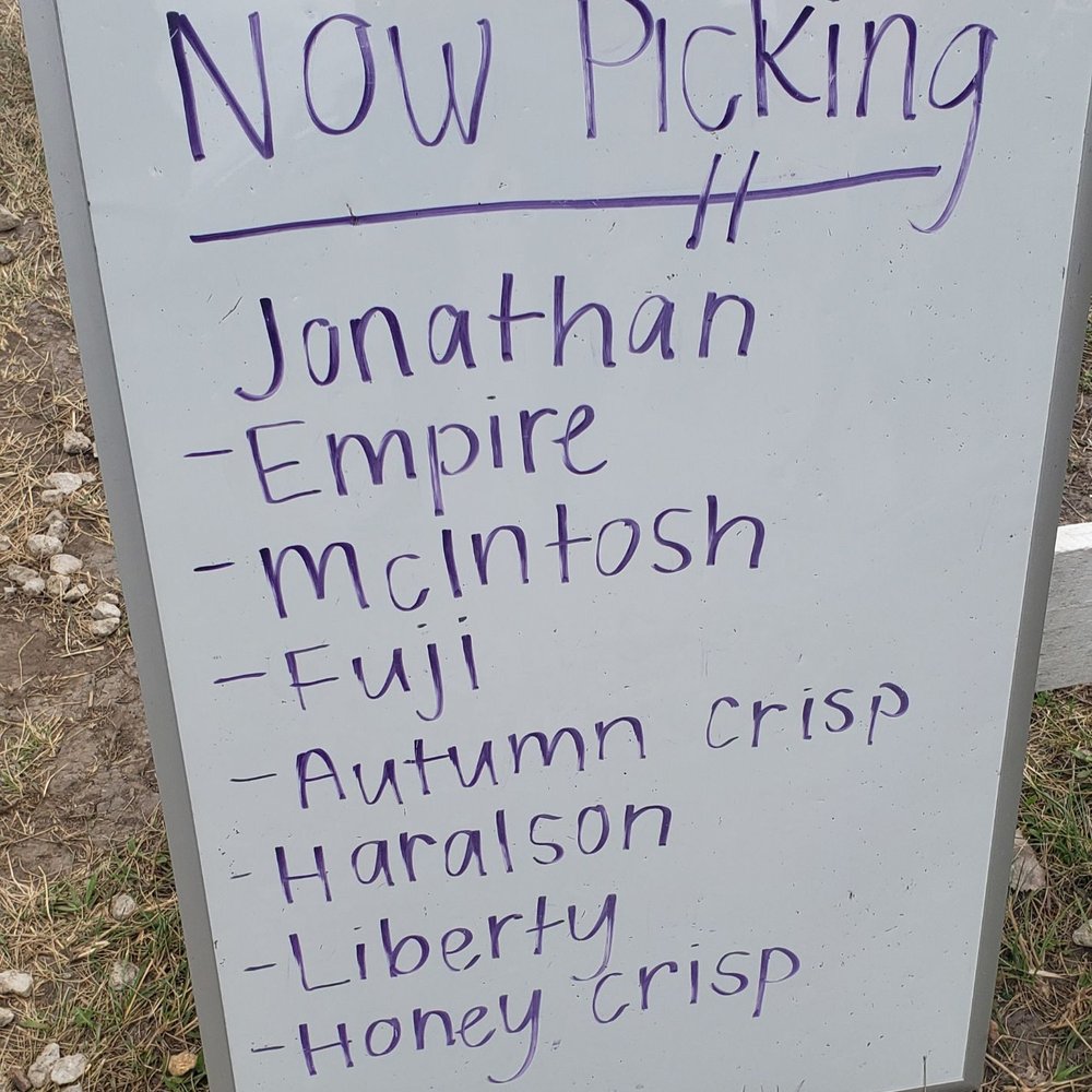Keller's Farmstand - Their apple picking list as of 9/25/22. We never saw any "Haralson" in the orchard, but those sound sketchy anyway - Pick Your Own Farms Near Me - Oswego, Illinois Keller's Farmstand - Their apple picking list as of 9/25/22. We never saw any "Haralson" in the orchard, but those sound sketchy anyway - Pick Your Own Farms Near Me - Oswego, Illinois