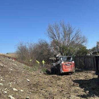 Central Texas Arbor Care - Tree Services Near Me