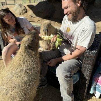 Conservation Ambassadors - Zoo to You - Zoos Near Me - Paso Robles, California Conservation Ambassadors - Zoo to You - Zoos Near Me - Paso Robles, California