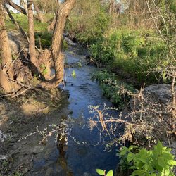 Northtown Park and Disc Golf Course - Creek