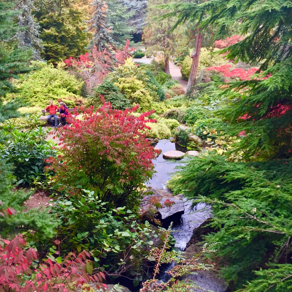Kubota Garden - I love this view from the top of the waterfall. - Botanical Gardens Near Me - Seattle, Washington Kubota Garden - I love this view from the top of the waterfall. - Botanical Gardens Near Me - Seattle, Washington