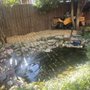 Shupp's Stump Grinding