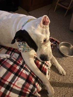 Beauty and Beyond Salon