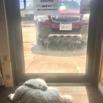 A & J Alterations & Cleaners - Her friendly dog checking out the view. - Dry Cleaning Near Me - Norfolk, Virginia A & J Alterations & Cleaners - Her friendly dog checking out the view. - Dry Cleaning Near Me - Norfolk, Virginia