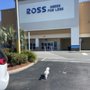 Photo of Ross Dress for Less