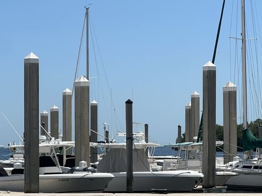 Matheson Hammock Park & Marina by null