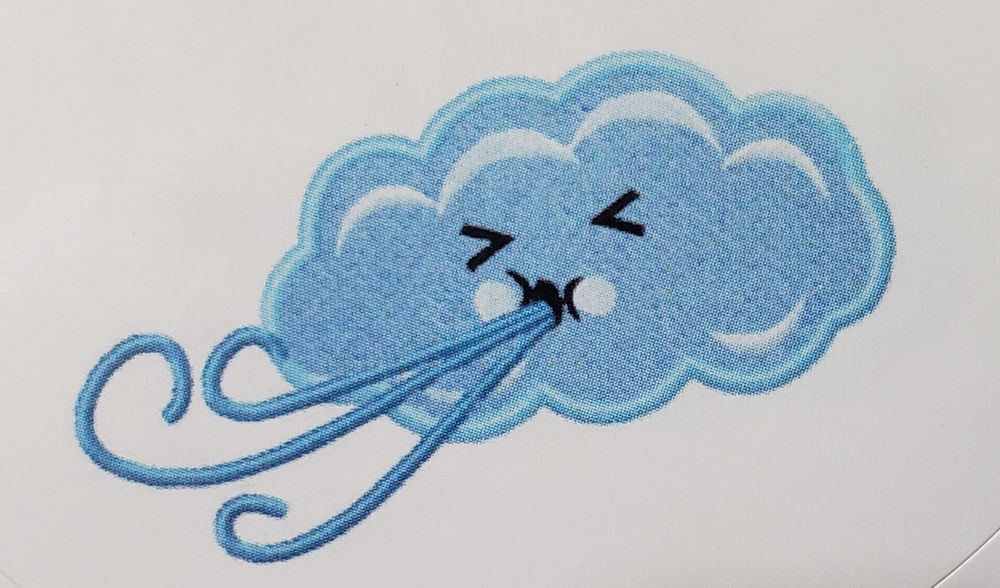 BLOW YOUR DUST AWAY CLEANING SERVICES Houston, Texas Home Cleaning