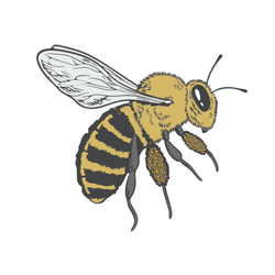 Ledger Bee Bookkeeping
