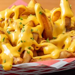 Chicago's Dog House - Cheese Fries