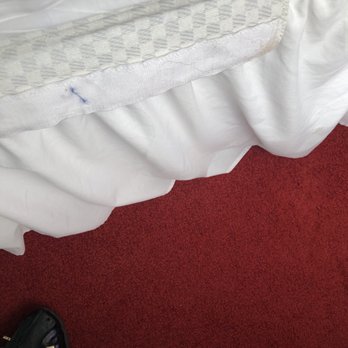 Argyll Guest House - NASTY MATTRESS COVER FILLED WITH HAIR - Guest Houses Near Me - Glasgow, GLG