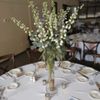 Hopper Hills Floral & Gifts gift card