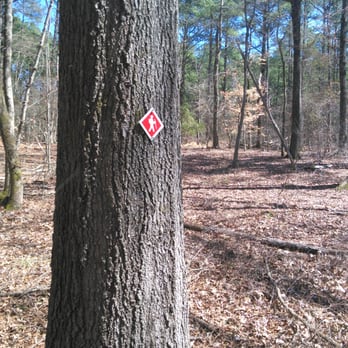 Jordan Lake - Marked trees for trail hikers/walkers - Parks Near Me - Apex, North Carolina